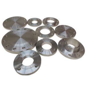 SS316 Flanges
