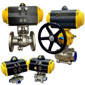 Pneumatic Actuated Valves